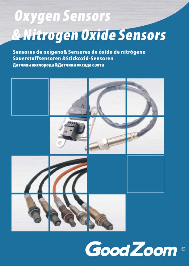 Oxygen sensor